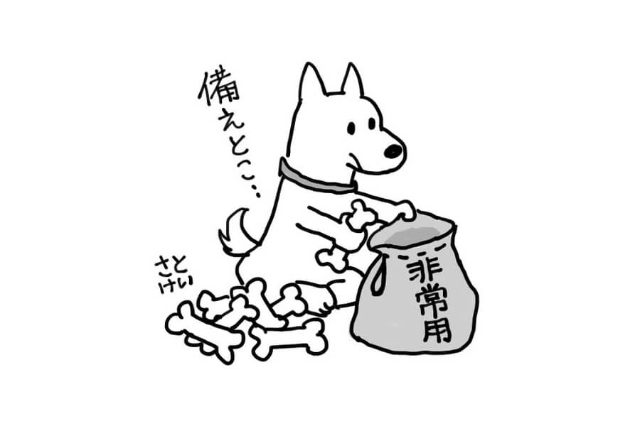 【第8回】能登半島地震で思ったこと