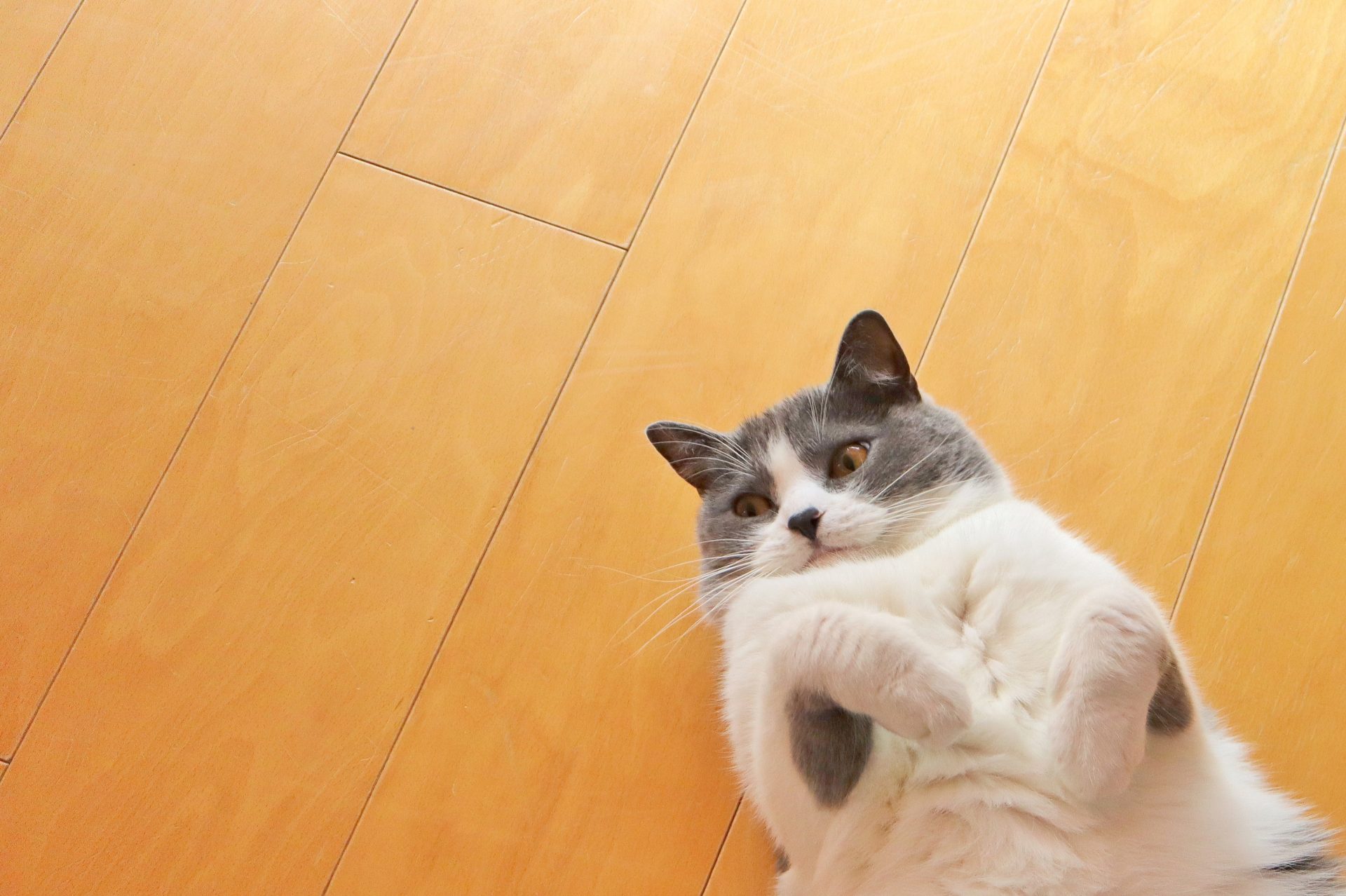 北海道の家づくり「勝負の数値」はこれ!