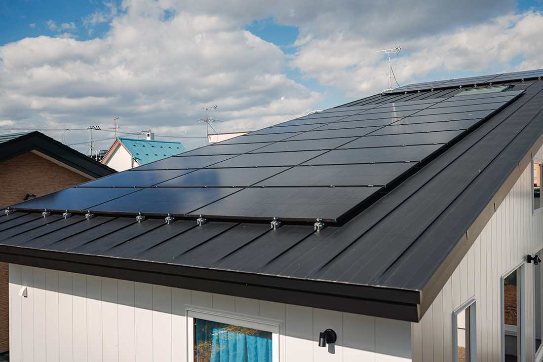 未来へ向けた蓄電システムの選択「実例が示す効果と課題」