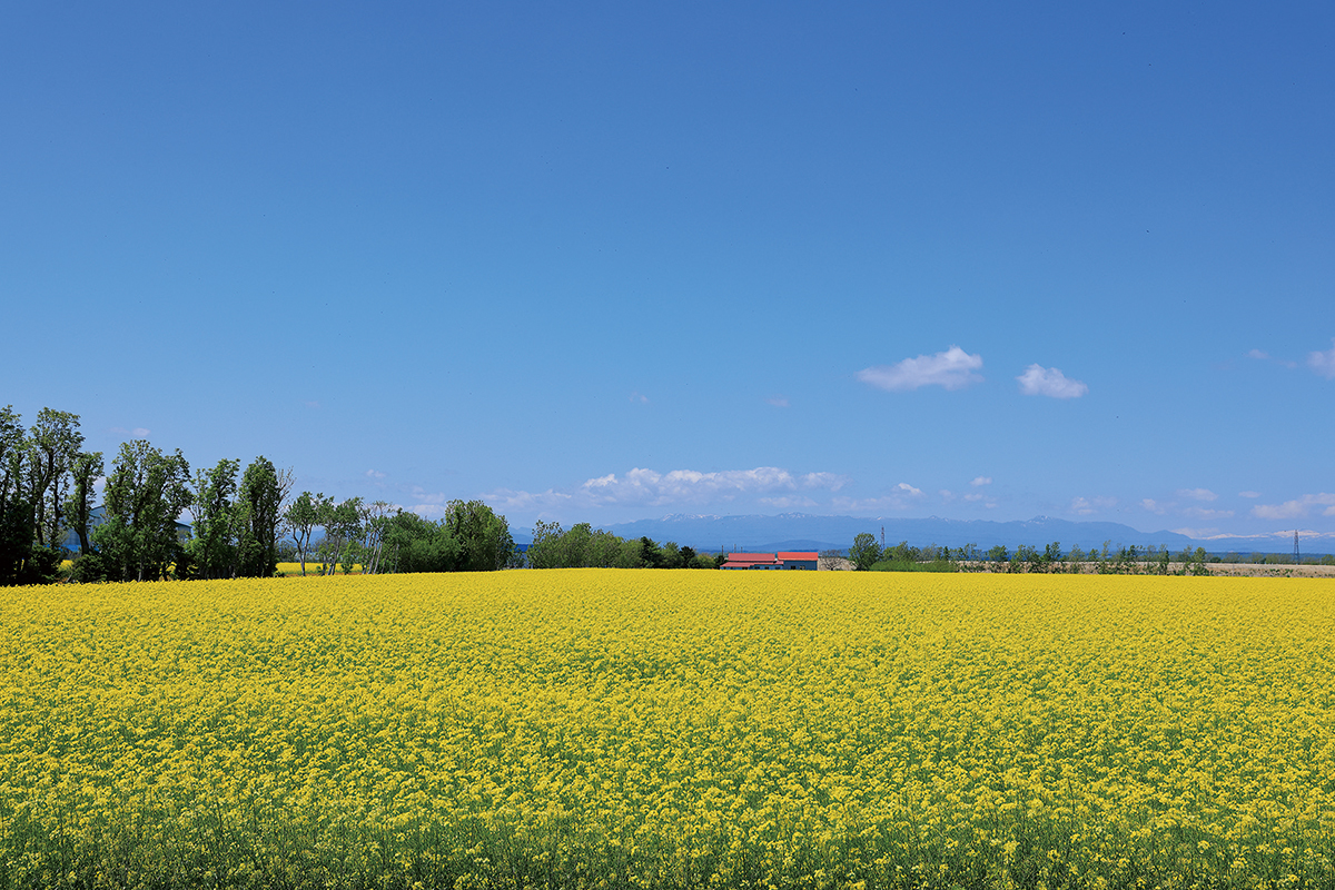 北海道の移住《南幌町の取り組み》「若い世帯の増加で町に活気」